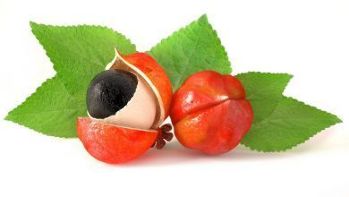 Овошјето од Гуарана е главната состојка на Гигант